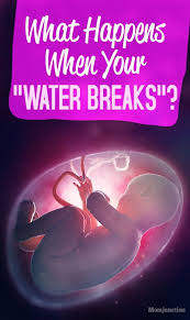 Pin On Fertility