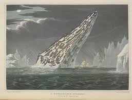 society nineteen: 19 ON 19: The British Library's UNTOLD LIVES Blog