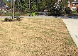 Flag irrigation heads and other hidden objects in the lawn to prevent damage. How And When To Dethatch A Lawn