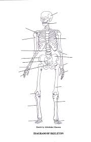 Label number 1 in the diagram indicates which part of the bone. Blank Diagram Of A Long Bone Label The Parts Of A Long Bone The Metaphysis Is The Wide Portion Of A Long Bone Between The Epiphysis And The Reyna Nottingham