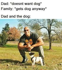 Funny animals memes that will make you smile having a mother of a day? 51 Happy Memes Tweets And Comics Keeping Us Sane During The Sad Times Funny Gallery