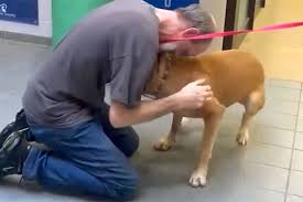 Man Reunites with His Dog 2 Years After a Cancer Diagnosis ...