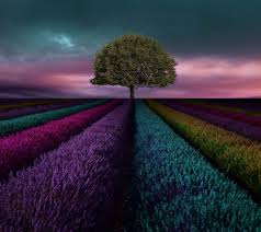 We did not find results for: Quad Hd Wallpapers Top Free Quad Hd Backgrounds Wallpaperaccess