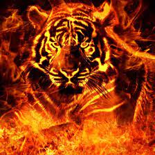 Api singa adalah tema pengguna dengan wallpaper dari definisi warna api singa paling tinggi dan ikon cantik. Pengisian Khodam Macan Segoro Geni Menggambar Singa Sejarah Seni Ilustrasi Hewan