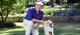 Harry, as he is affectionately known by his patients) has helped individuals and families suffering from the disease of addiction for nearly 40 years via his role as. Dr Harry Cooper Banner Pet Doctor