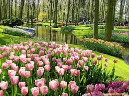 Gambar Taman Bunga Tulip Beautiful Gardens Beautiful Flowers Pictures Most Beautiful Flower Pictures