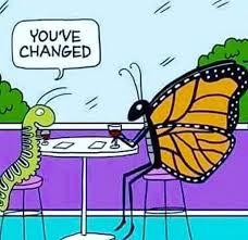 You Ve Changed Butterfly Quotes Change Is Good Yoga Funny