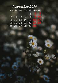11 November 2019 Calendar Iphone Wallpaper Hd Calendar Wallpaper Iphone Wallpaper November Wallpaper