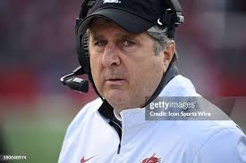 102 Wsu Campus Stock Photos, High-Res Pictures, and Images