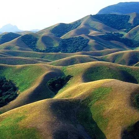 Western Ghats (Agasthyamalai & Periyar Clusters) Image 1