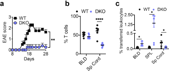 Pencatatan pelanggan berdasarkan tipe, memungkinkan anda meilhat laporan penjulan per tipe pelanggan dan analisis penjualan per tipe pelanggan. The Tipe Molecular Pilot That Directs Lymphocyte Migration In Health And Inflammation Scientific Reports