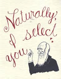 Charles Darwin Greeting Science Valentine Punny Valentines Science Valentines Funny Valentine