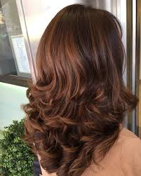 Chestnut is one of our favorite brown hues for adding dimension to a dark brown base as it adds just the right amount of lightness and warmth. The Top 41 Chestnut Brown Hair Colours For 2021 All Things Hair Uk