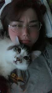 Lost cat in Grafton area?