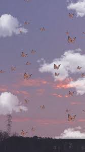 Find minimalist aesthetic wallpapers hd for desktop computer. ðšðžð¬ð­ð¡ðžð­ð¢ðœ Butterfly Wallpaper Iphone Butterfly Wallpaper Iconic Wallpaper