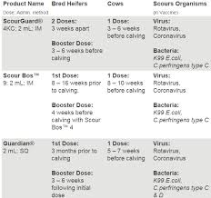 Pre Calving Vaccinations For Pregnant Cows Agweb