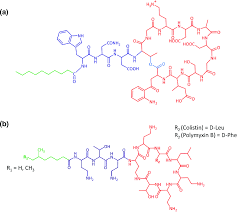 Image result for Daptomycin