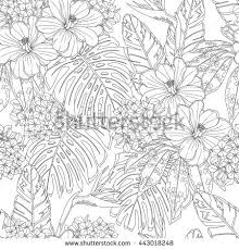 Massive hybridization has produced thousands of fabulous daylily varieties. Tropical Flowers And Leaves Seamless Pattern Page Of Coloring Book For Adults And Children A Mandala Coloring Books Flower Coloring Pages Hand Drawn Flowers