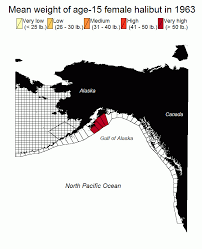 Pacific Halibut Size At Age