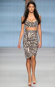 Résultat de recherche d'images pour "domesticated zebra"