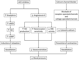 Combination Therapy In Hypertension From Effect On Arterial