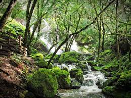 Maybe you would like to learn more about one of these? The 24 Best Northern California Hikes Near San Francisco Bay Area
