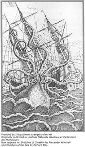 Ausmalbild ist eine wunderbare möglichkeit für die entwicklung der schöpferischen fähigkeiten. 16 Riesenkalmar Ideen Riesenkalmar Seeungeheuer Kraken