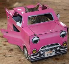 Ultimate Cat Car Cat Playhouse Cat Playing Car Cat