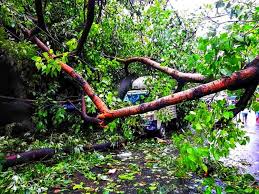 Quick facts on Cyclone Amphan that ravaged through Kolkata ⁣ ⁣ #Amphan  #AmphanCyclone #Kolkata #CycloneAmphanUpdates