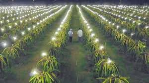 Inilah daftar alamat kantor pln area jakarta dan tangerang. Https Jatim Tribunnews Com 2021 08 15 The Taman Dayu By Ciputra Pasuruan Luncurkan Commercial Area Harga Mulai Rp 500 Jutaan Https Cdn 2 Tstatic Net Jatim Foto Bank Images Kawasan Komersial Palazio Boulevard Yang Baru Saja Soft Launching Di The
