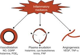 Pathophysiology Of Asthma An Overview Sciencedirect Topics