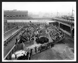 Beef State Omaha Stockyards Gallery Netnebraska Org Model Train Scenery Beautiful Landscapes Omaha