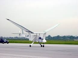 Flapping Wings Over Rotating For Future Commutes Airplane Design Aviation Fighter Jets
