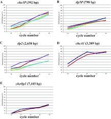 Bovine Serum Albumin Further Enhances The Effects Of Organic Solvents On Increased  Yield Of Polymerase Chain Reaction Of Gc-Rich Templates | Bmc Research  Notes | Full Text