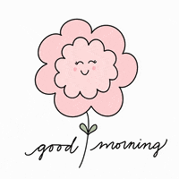 Birthday flowers are for all kinds of lovely occasions because they speak the language of the heart. Flower Love Gifs Get The Best Gif On Giphy