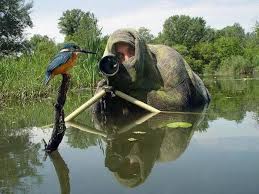 New Canon Sensor Records 30 Times The Quality Of 4k Wildlife Photography Wildlife Photography Tips Photographer Humor