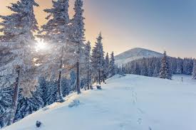 Die kürzeste nacht des jahres. Sonnenwende 2021 Wintersonnenwende