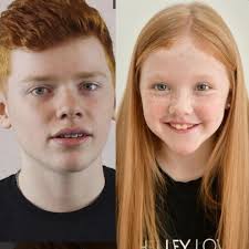 The Shelley Lowry School