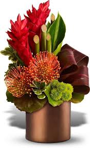 Pin On Gardening And Landscaping