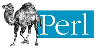 Python Vs Php Vs Ruby Vs Perl For Web Development Webcase Studio