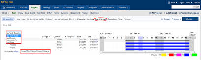 the importance of gantt charts knowledge share zentao