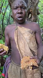 Hadzabe Tribe bush people are truly happy when they manage to find natural  sweet honey in the nature as it is their favorite food from their  traditional bush diet
