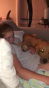 Check spelling or type a new query. Northern Colorado Golden Retriever Puppies For Sale Home Facebook
