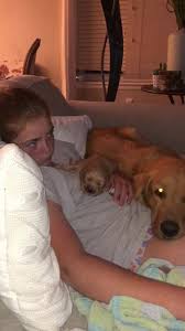 Why buy a golden retriever puppy for sale if you can adopt and save a life? Northern Colorado Golden Retriever Puppies For Sale Home Facebook