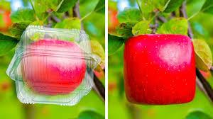 Faites Pousser Vos Graines Comme Un Pro Video In 2020 Plants Radish Vegetables