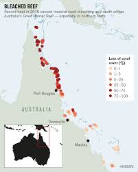Great barrier reef hotel deals. Great Barrier Reef Saw Huge Losses From 2016 Heatwave