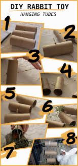 Check spelling or type a new query. 5 Diy Easy Rabbit Chew Toys To Make A Step By Step Guide