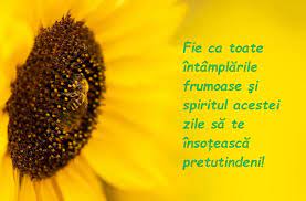 De sfânta maria mică se crede că. Ul4skttm5wd6lm