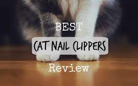 Clipping your cat's nails regularly helps prevent their nails from growing too long, which can lead to painful ingrown nails, not to mention the risk of we're sure that these reviews of our 10 favorite cat nail clippers includes one that will be a great choice for your cat. Best Cat Nail Clippers Review 2019 Top 4 Clipping Guide Fluffy Kitty