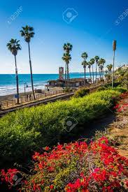 San clemente is a city in orange county, california. Flowers And View Of The Beach In San Clemente California Stock Photo Picture And Royalty Free Image Image 37356133